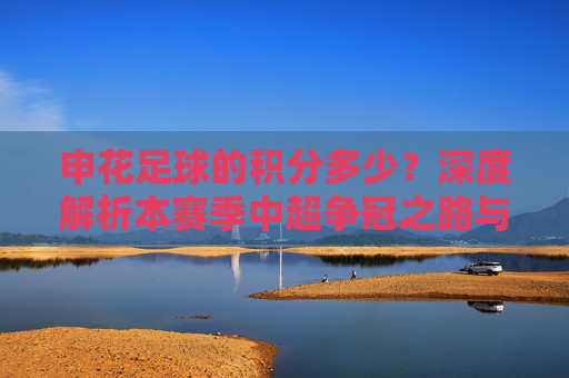 申花足球的积分多少?深度解析本赛季中超争冠之路与最新排名