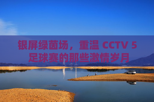 银屏绿茵场,重温 CCTV 5 足球赛的那些激情岁月