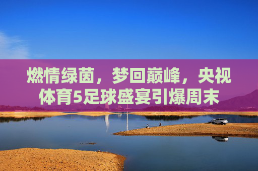燃情绿茵,梦回巅峰,央视体育5足球盛宴引爆周末