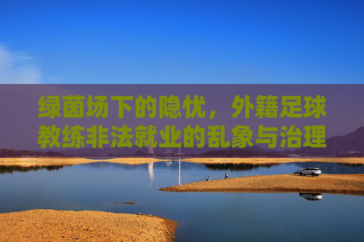 绿茵场下的隐忧,外籍足球教练非法就业的乱象与治理