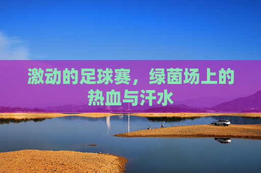激动的足球赛,绿茵场上的热血与汗水