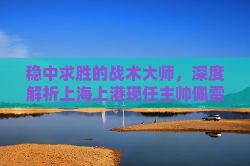 稳中求胜的战术大师,深度解析上海上港现任主帅佩雷拉的执教之路与球队未来