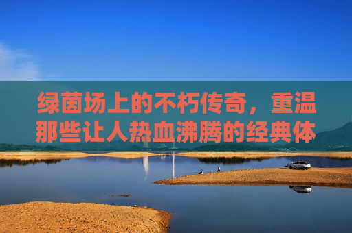绿茵场上的不朽传奇,重温那些让人热血沸腾的经典体育足球视频集锦