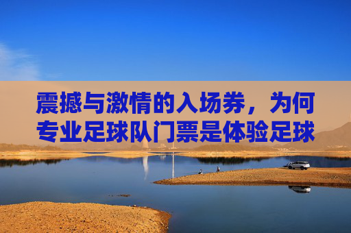 震撼与激情的入场券,为何专业足球队门票是体验足球魅力的不二之选