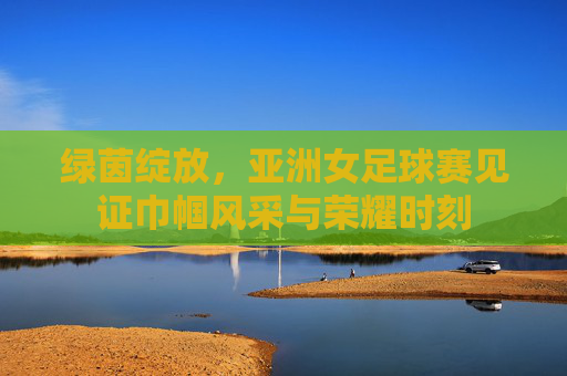 绿茵绽放,亚洲女足球赛见证巾帼风采与荣耀时刻