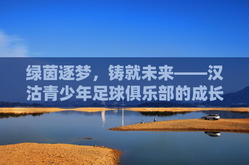 绿茵逐梦,铸就未来——汉沽青少年足球俱乐部的成长之路