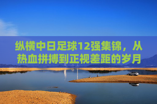 纵横中日足球12强集锦,从热血拼搏到正视差距的岁月长卷