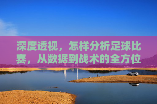 深度透视,怎样分析足球比赛,从数据到战术的全方位指南