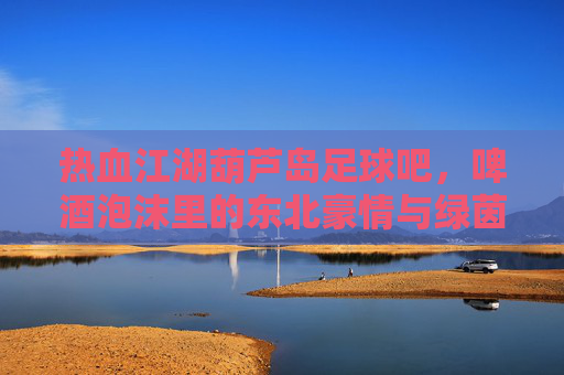 热血江湖葫芦岛足球吧,啤酒泡沫里的东北豪情与绿茵梦