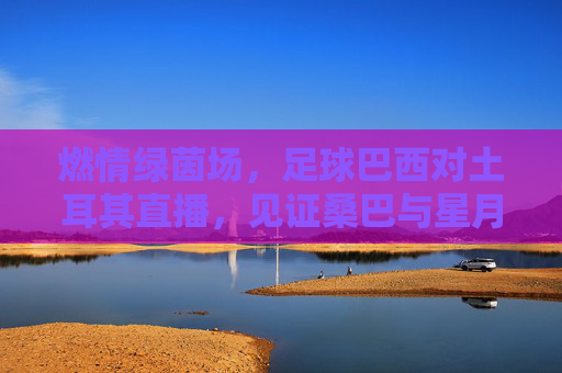 燃情绿茵场,足球巴西对土耳其直播,见证桑巴与星月的激情碰撞