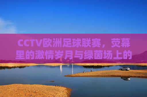 CCTV欧洲足球联赛,荧幕里的激情岁月与绿茵场上的永恒记忆