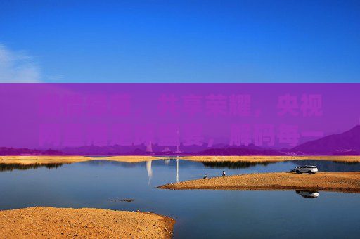 燃情绿茵,共享荣耀,央视网直播足球盛宴,解码每一场巅峰对决