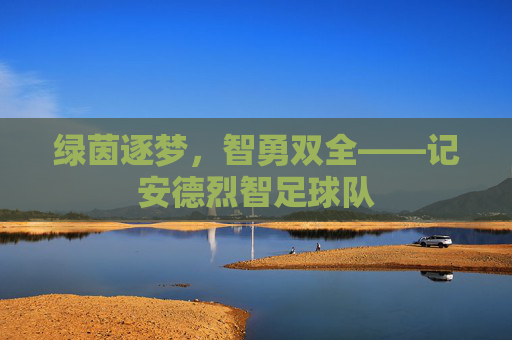 绿茵逐梦,智勇双全——记安德烈智足球队
