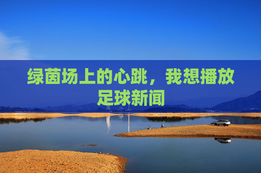 绿茵场上的心跳,我想播放足球新闻