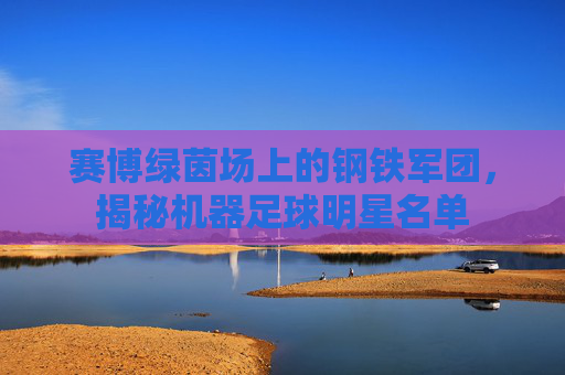 赛博绿茵场上的钢铁军团,揭秘机器足球明星名单