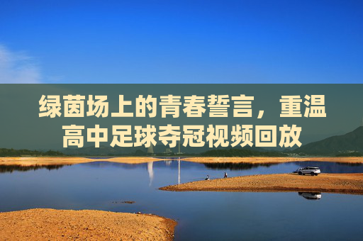 绿茵场上的青春誓言,重温高中足球夺冠视频回放