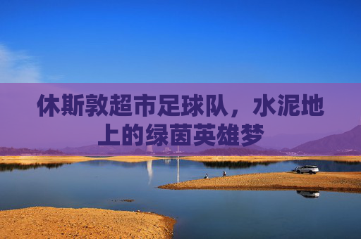 休斯敦超市足球队,水泥地上的绿茵英雄梦
