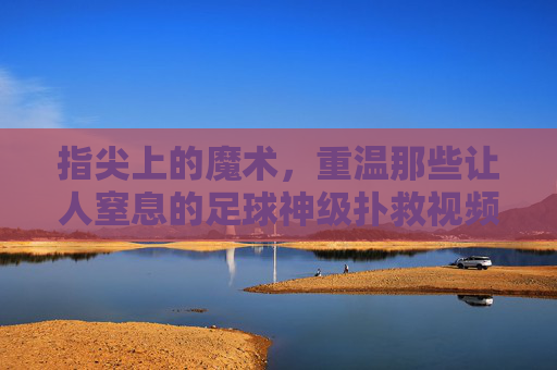 指尖上的魔术,重温那些让人窒息的足球神级扑救视频