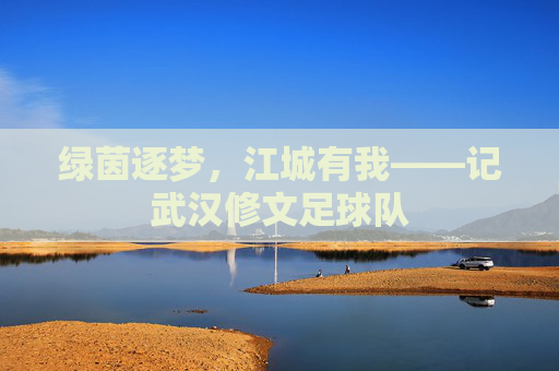 绿茵逐梦，江城有我——记武汉修文足球队