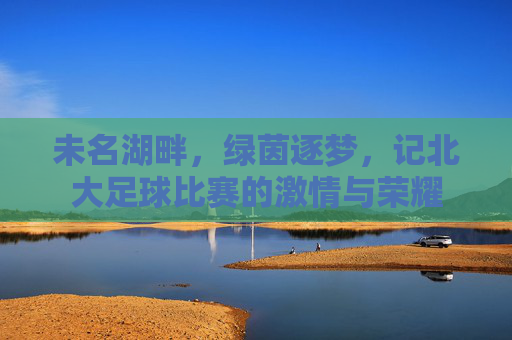 未名湖畔,绿茵逐梦,记北大足球比赛的激情与荣耀
