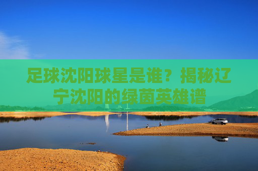 足球沈阳球星是谁?揭秘辽宁沈阳的绿茵英雄谱