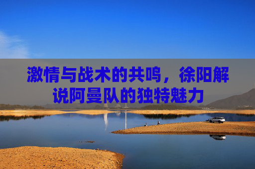 激情与战术的共鸣,徐阳解说阿曼队的独特魅力