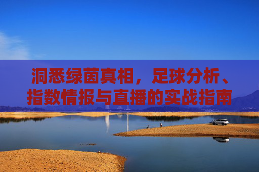 洞悉绿茵真相,足球分析、指数情报与直播的实战指南