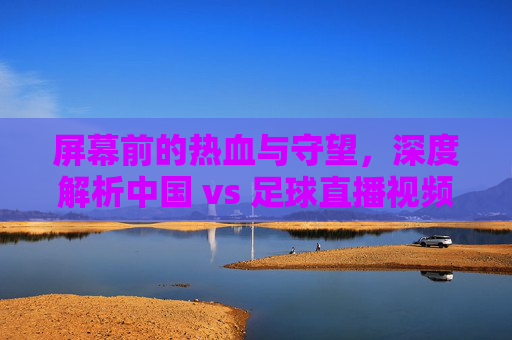 屏幕前的热血与守望,深度解析中国 vs 足球直播视频中的激情与遗憾