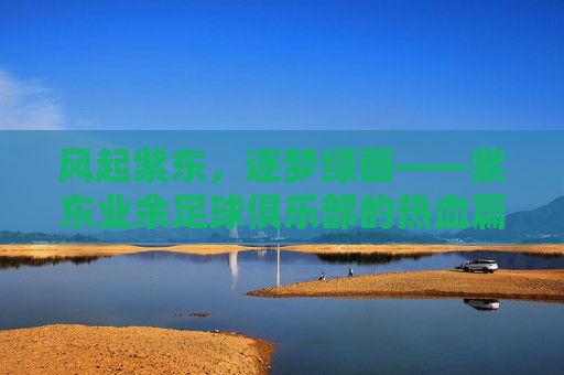 风起紫东,逐梦绿茵——紫东业余足球俱乐部的热血篇章