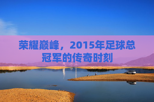 荣耀巅峰,2015年足球总冠军的传奇时刻