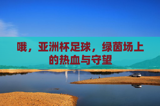 哦,亚洲杯足球,绿茵场上的热血与守望