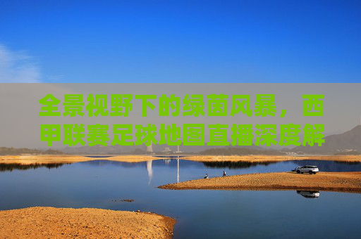 全景视野下的绿茵风暴,西甲联赛足球地图直播深度解析