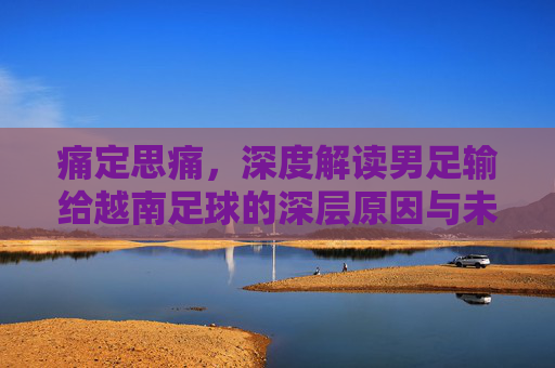 痛定思痛,深度解读男足输给越南足球的深层原因与未来之路