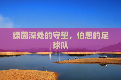 绿茵深处的守望,伯恩的足球队