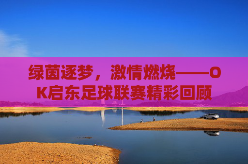 绿茵逐梦,激情燃烧——OK启东足球联赛精彩回顾