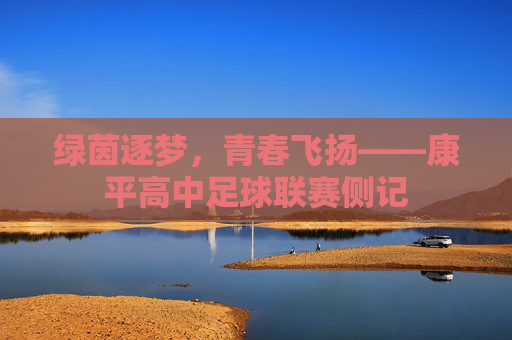 绿茵逐梦,青春飞扬——康平高中足球联赛侧记