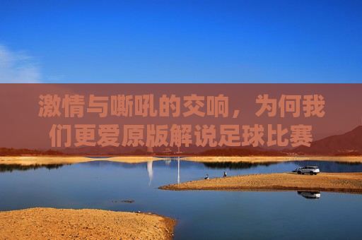 激情与嘶吼的交响,为何我们更爱原版解说足球比赛