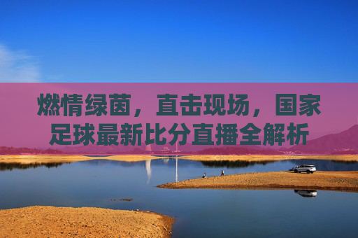 燃情绿茵,直击现场,国家足球最新比分直播全解析