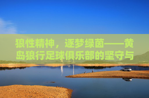狼性精神,逐梦绿茵——黄岛狼行足球俱乐部的坚守与热爱