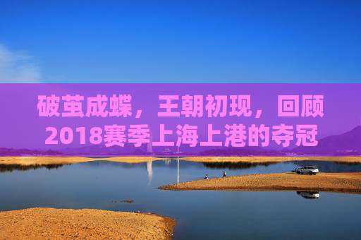 破茧成蝶，王朝初现，回顾2018赛季上海上港的夺冠征程