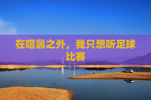 在喧嚣之外，我只想听足球比赛