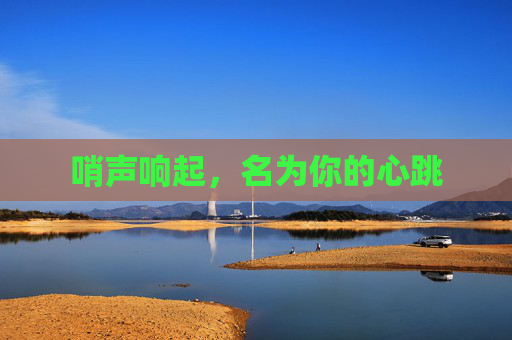 哨声响起,名为你的心跳