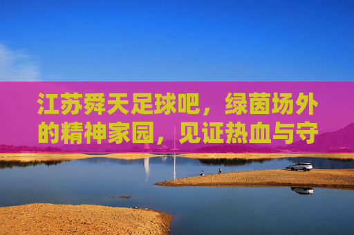 江苏舜天足球吧,绿茵场外的精神家园,见证热血与守望