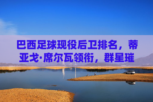 巴西足球现役后卫排名,蒂亚戈·席尔瓦领衔,群星璀璨的防线