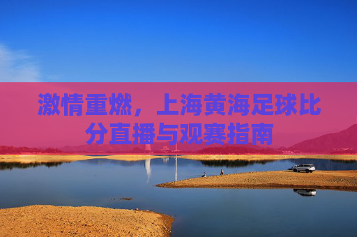 激情重燃,上海黄海足球比分直播与观赛指南