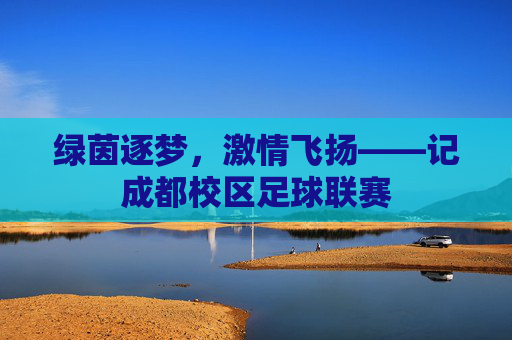 绿茵逐梦,激情飞扬——记成都校区足球联赛