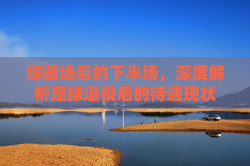 绿茵场后的下半场,深度解析足球退役后的待遇现状