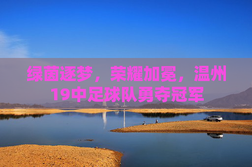 绿茵逐梦,荣耀加冕,温州19中足球队勇夺冠军