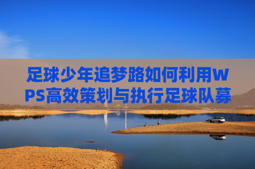 足球少年追梦路如何利用WPS高效策划与执行足球队募捐方案