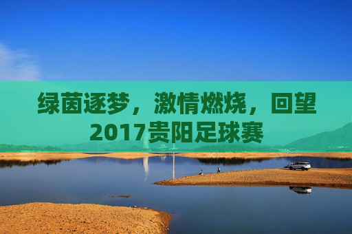 绿茵逐梦,激情燃烧,回望2017贵阳足球赛